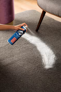 Why Choose Our Carpet Spot and Stain Removal Service in South Yarra?
