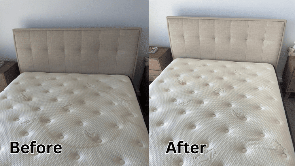 Why Choose Our Spot Stain Removal Services in Rowville?