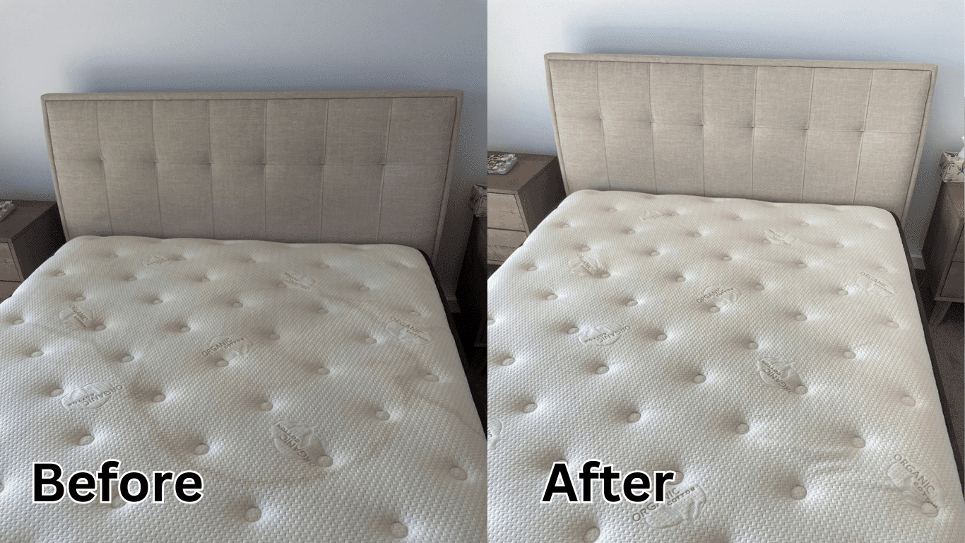 Why Choose Our Spot Stain Removal Services in Rowville?