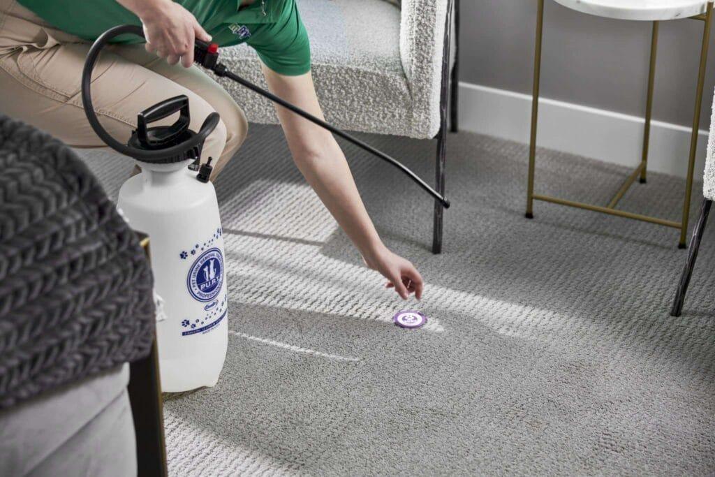 What to Expect from Our Pet Odour Removal in Rowville
