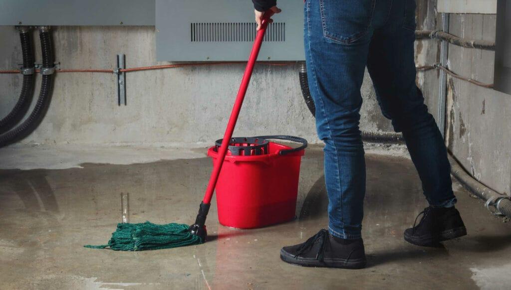 Professional vs. DIY: Why Flood Damage Restoration Requires Experts