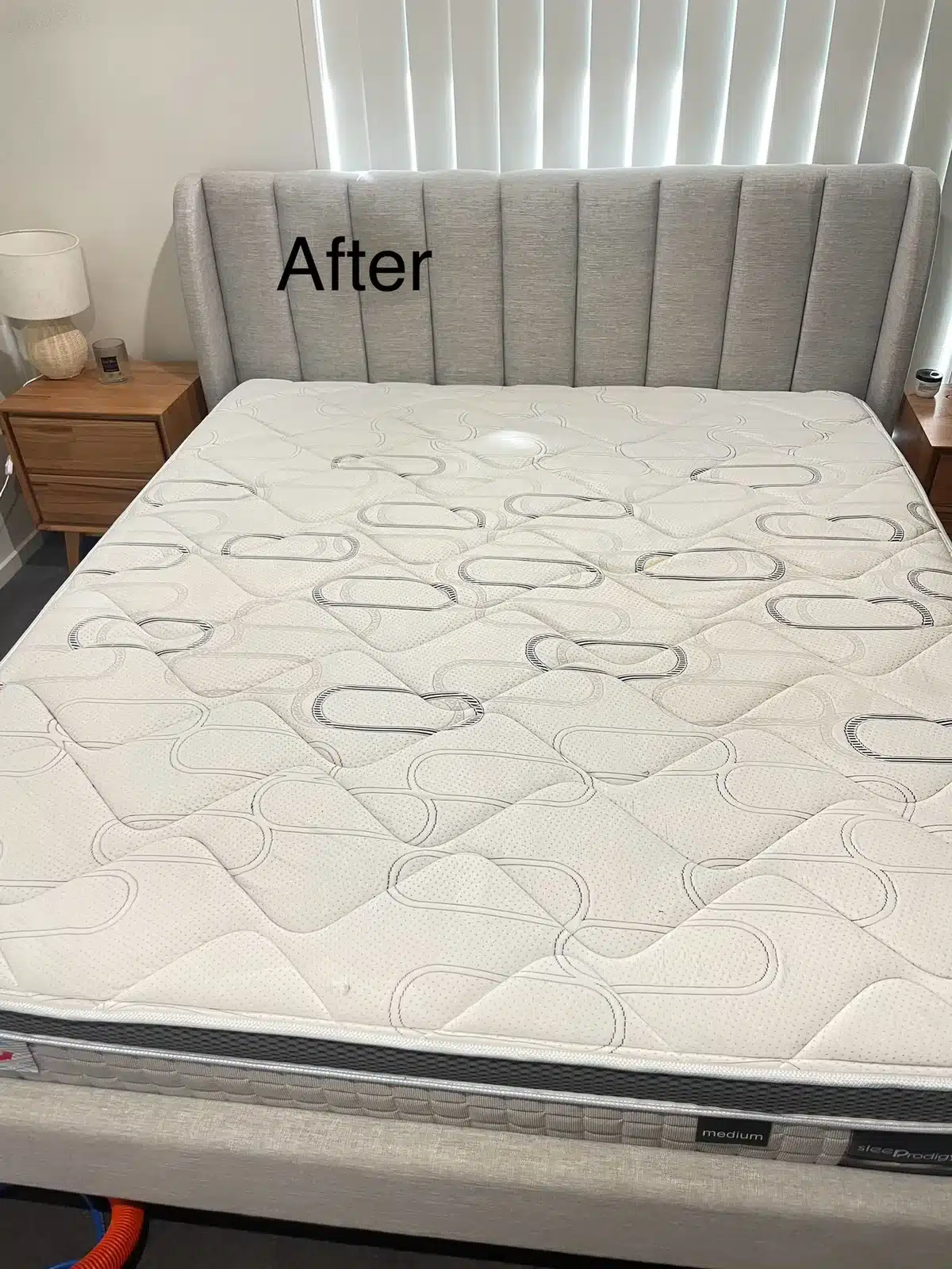 After: queen mattress with sweat staining cleaned and sanitised
