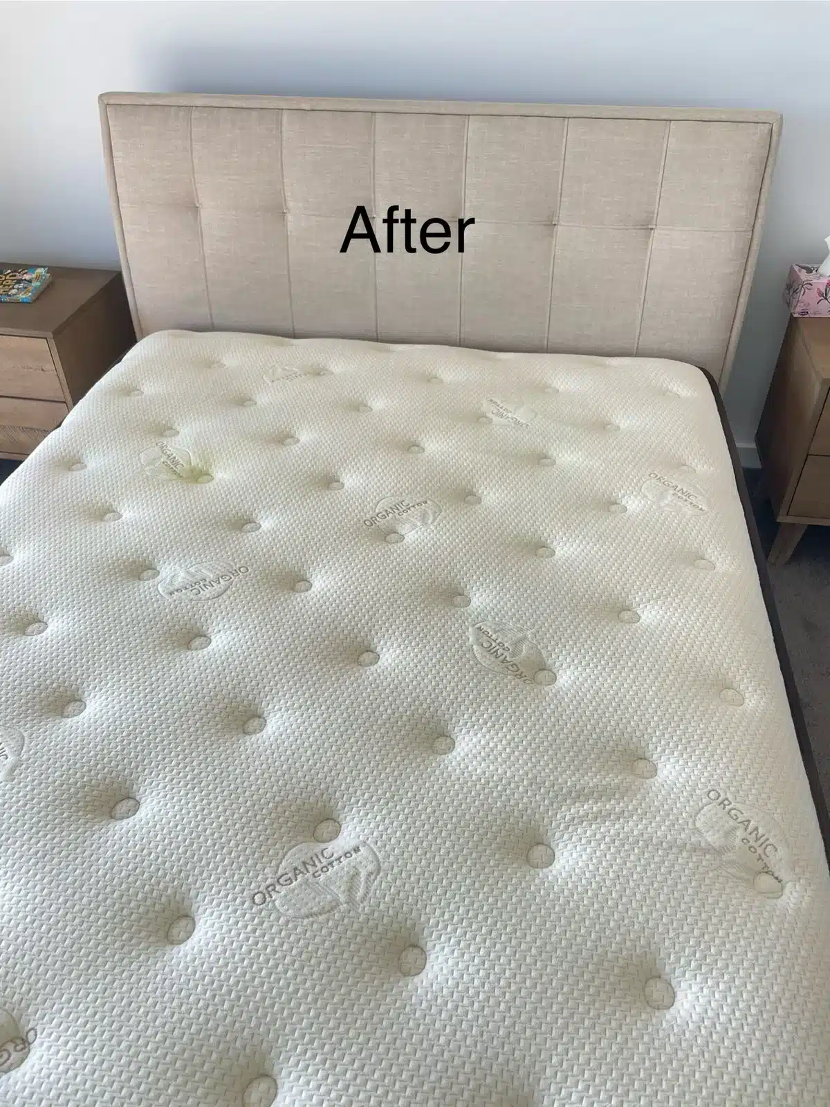 After: mattress cleaned and sanitised beside an upholstered bed head
