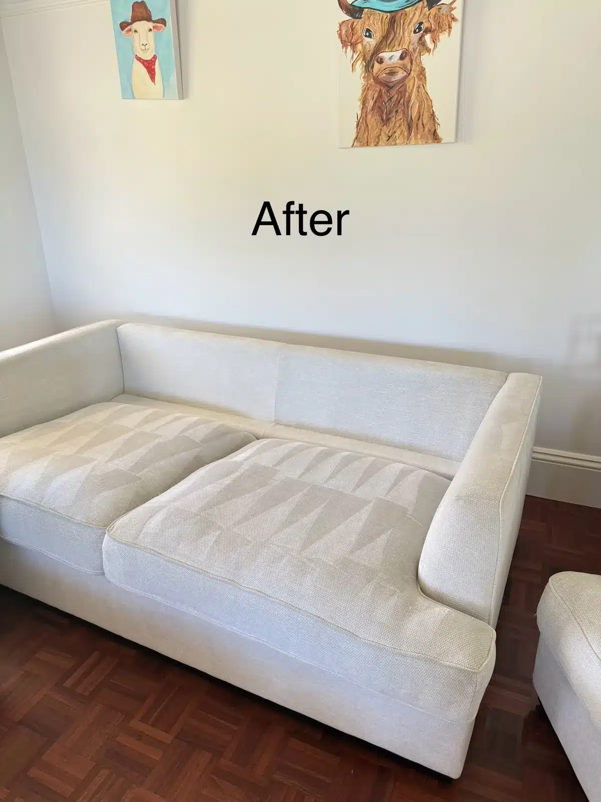 After: cream fabric couch cleaned in a Melbourne lounge room