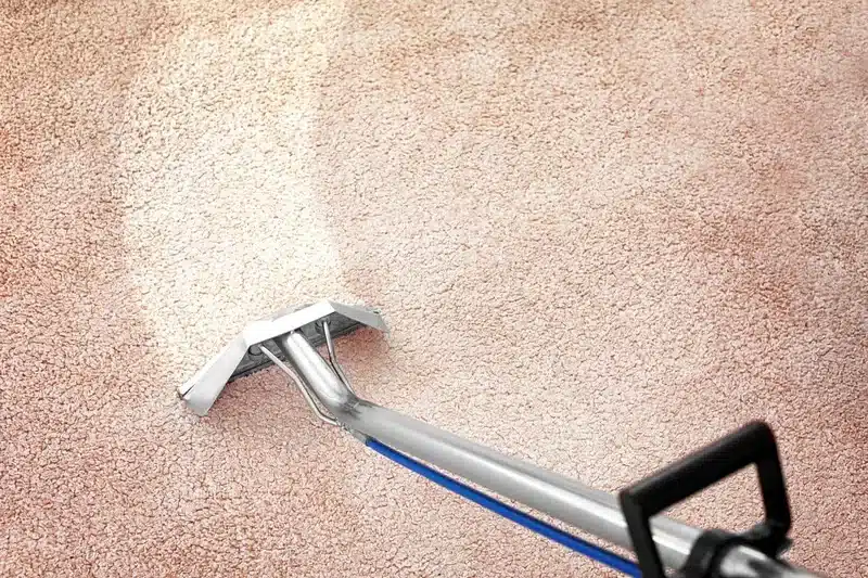Water beading on protected carpet fibres in a Rowville home