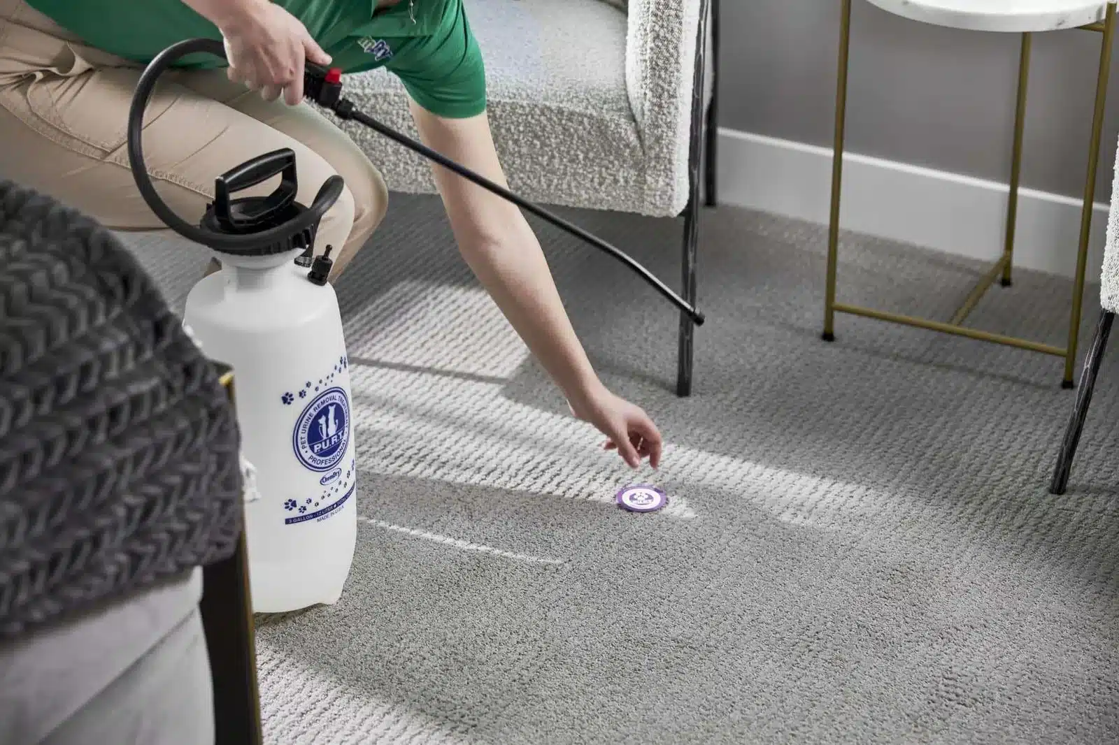 Pet stain and odour removal from carpet in a Doncaster home