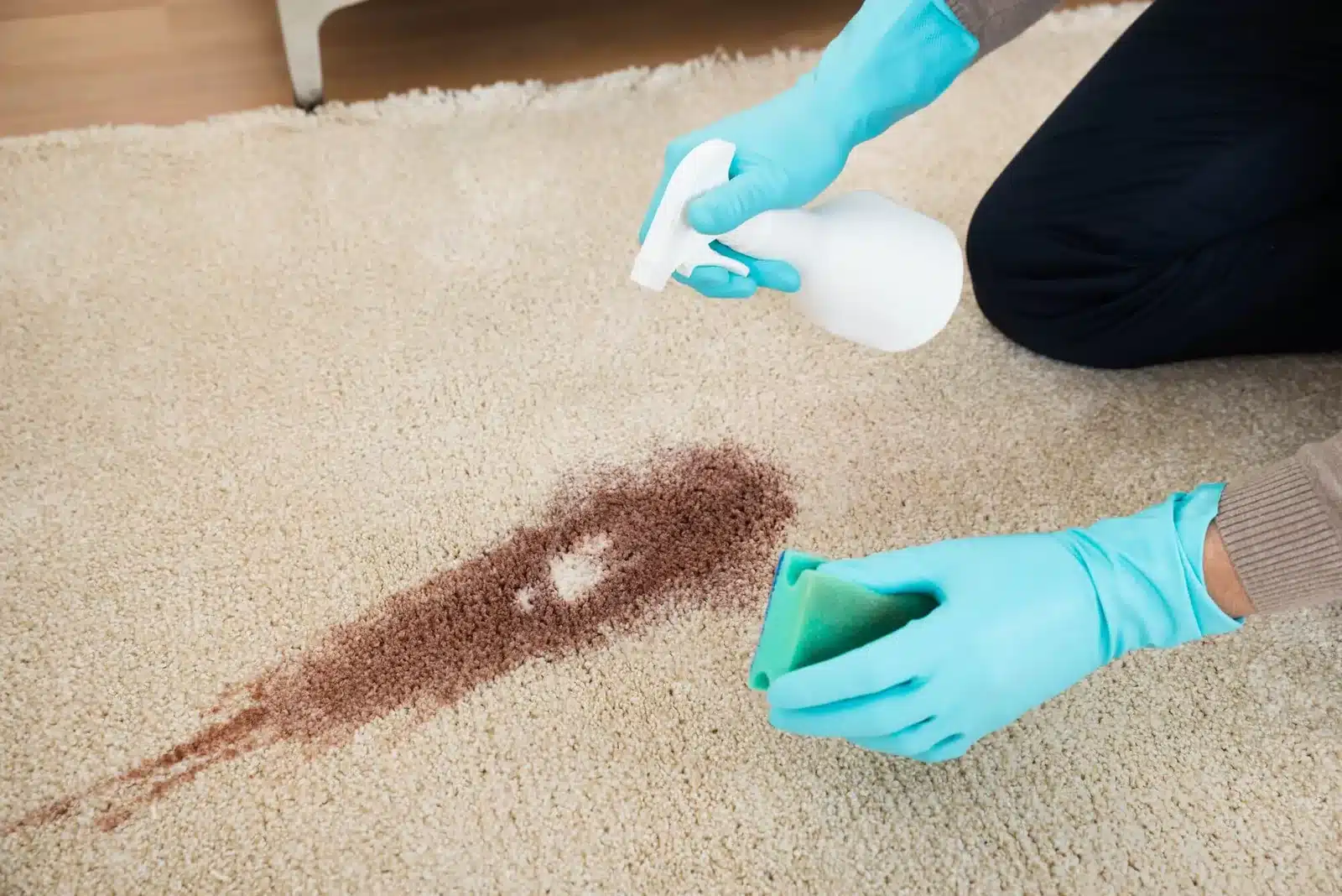 Scotchgard fabric protection being applied to carpet in a Rowville home