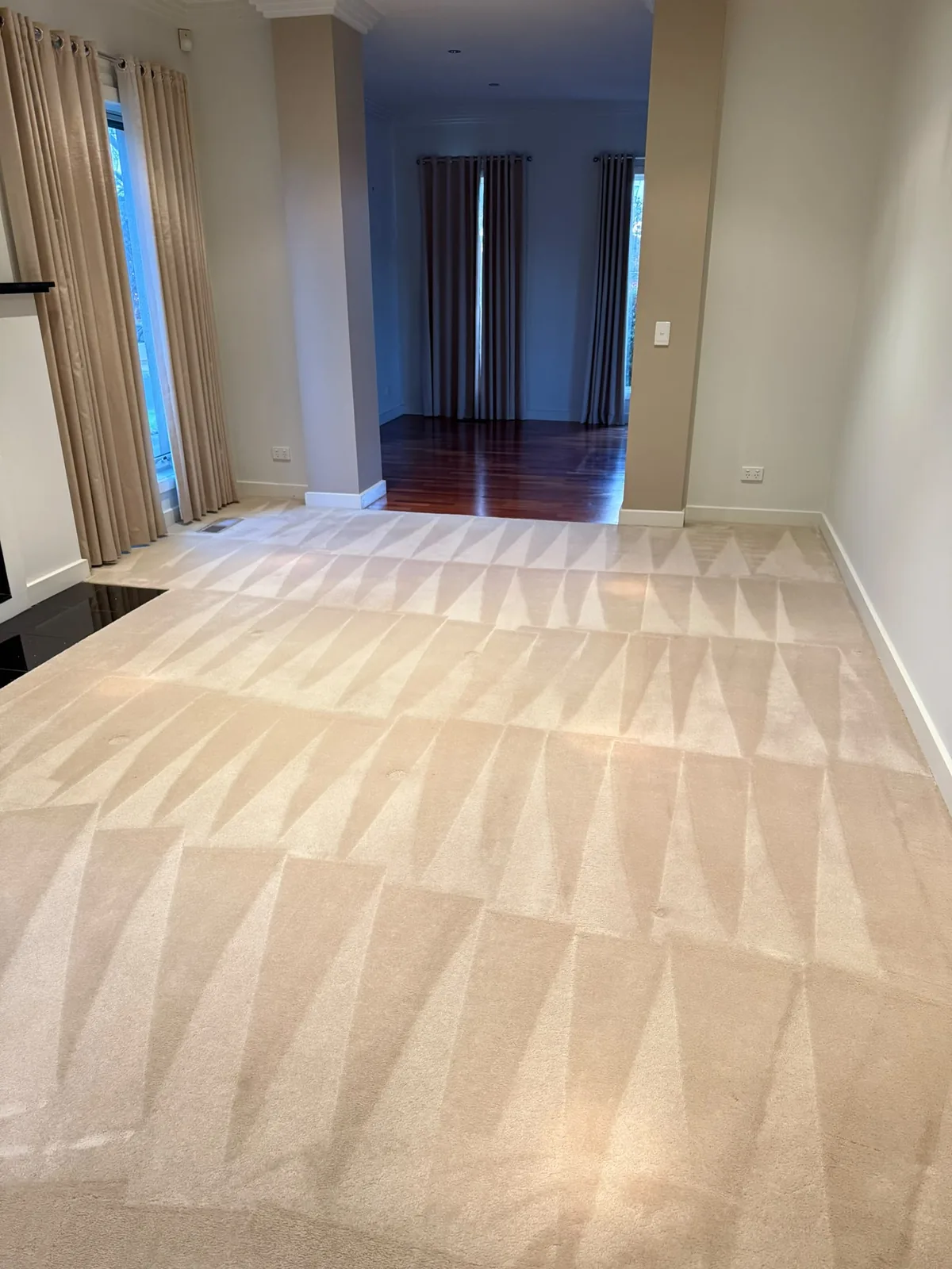 carpet steam cleaning in progress showing cleaned strips