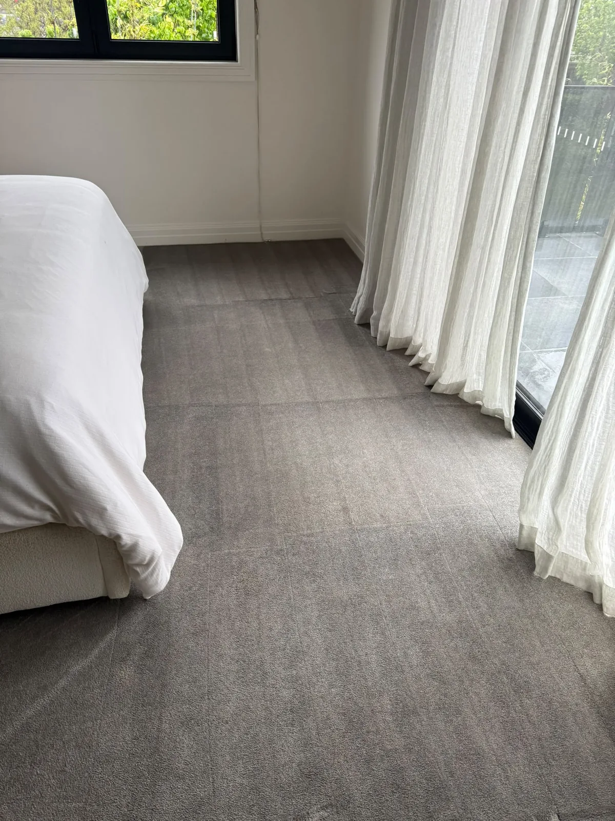 steam cleaned bedroom carpet with grooming marks