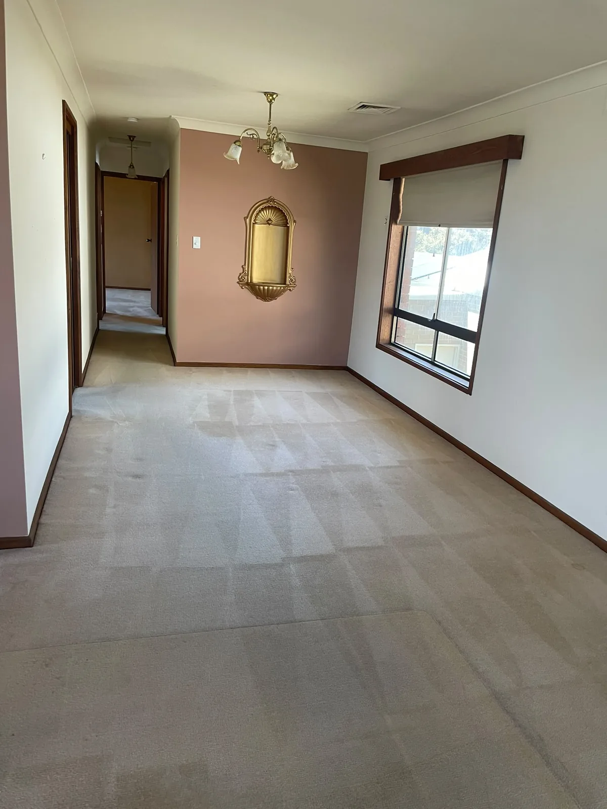 carpet steam cleaned through a hallway and living area