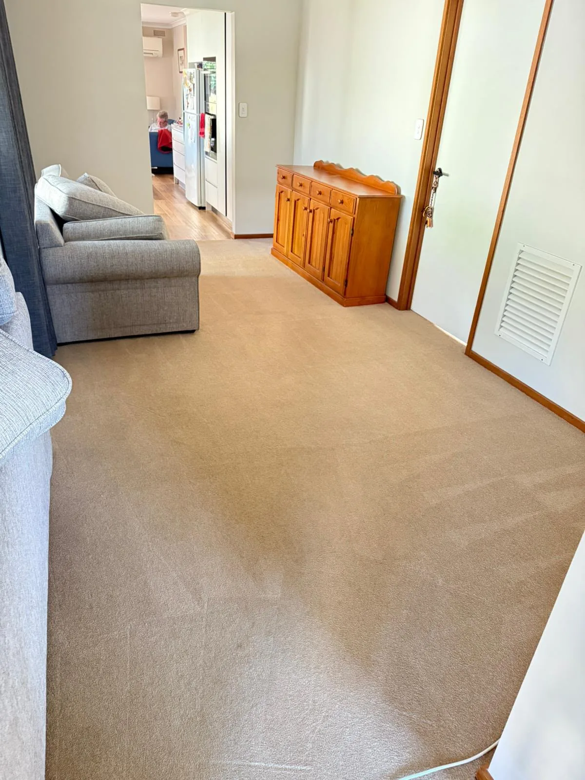 beige lounge carpet cleaned and groomed