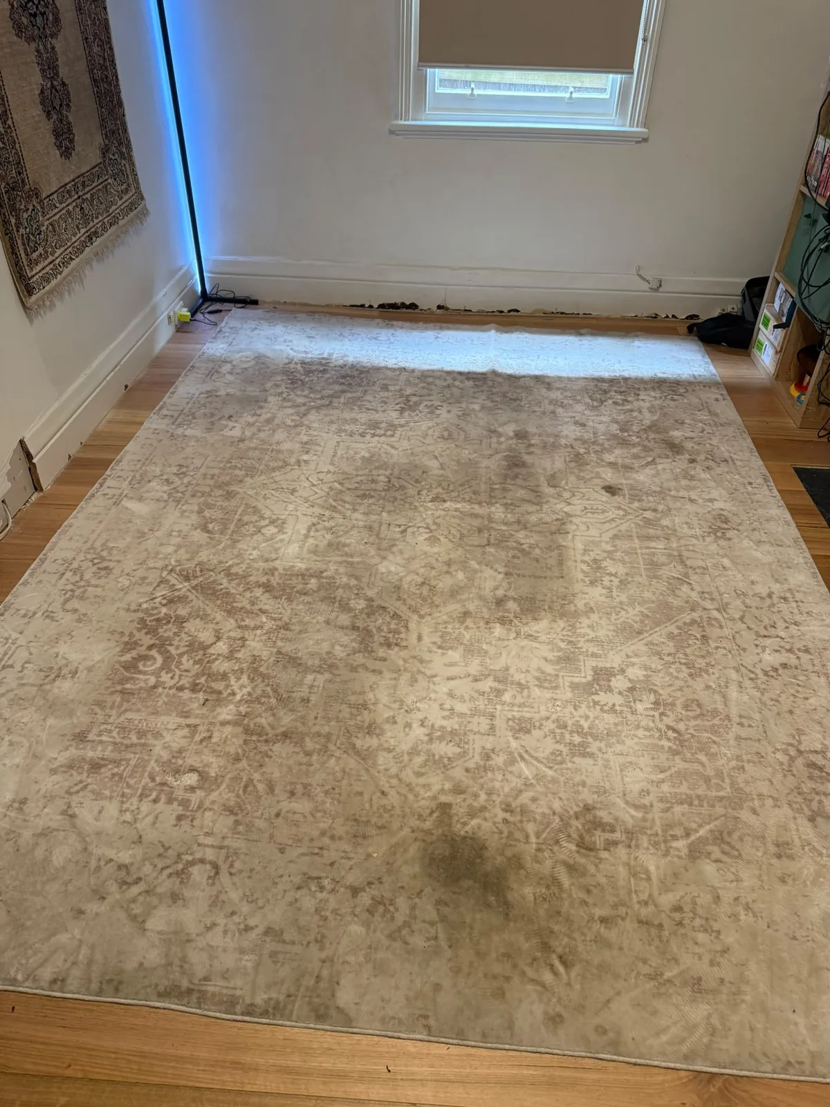 Before: pale patterned rug heavily soiled with a dark traffic stain, photographed in the customer home before cleaning